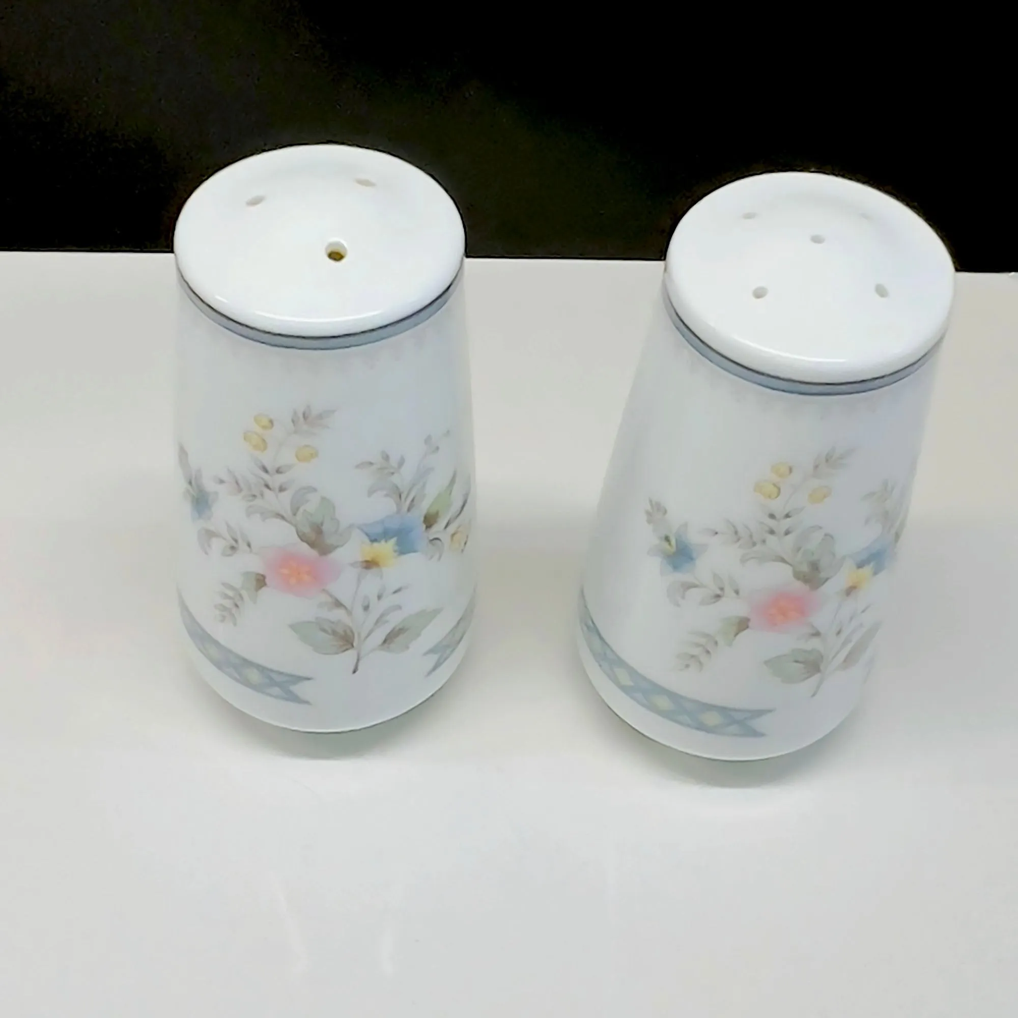 Brookwood Stratford Porcelain Salt and Pepper Shakers