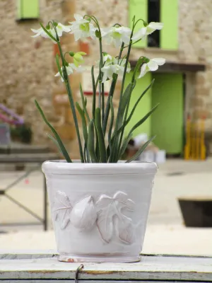 Ceramic glazed pot with figs