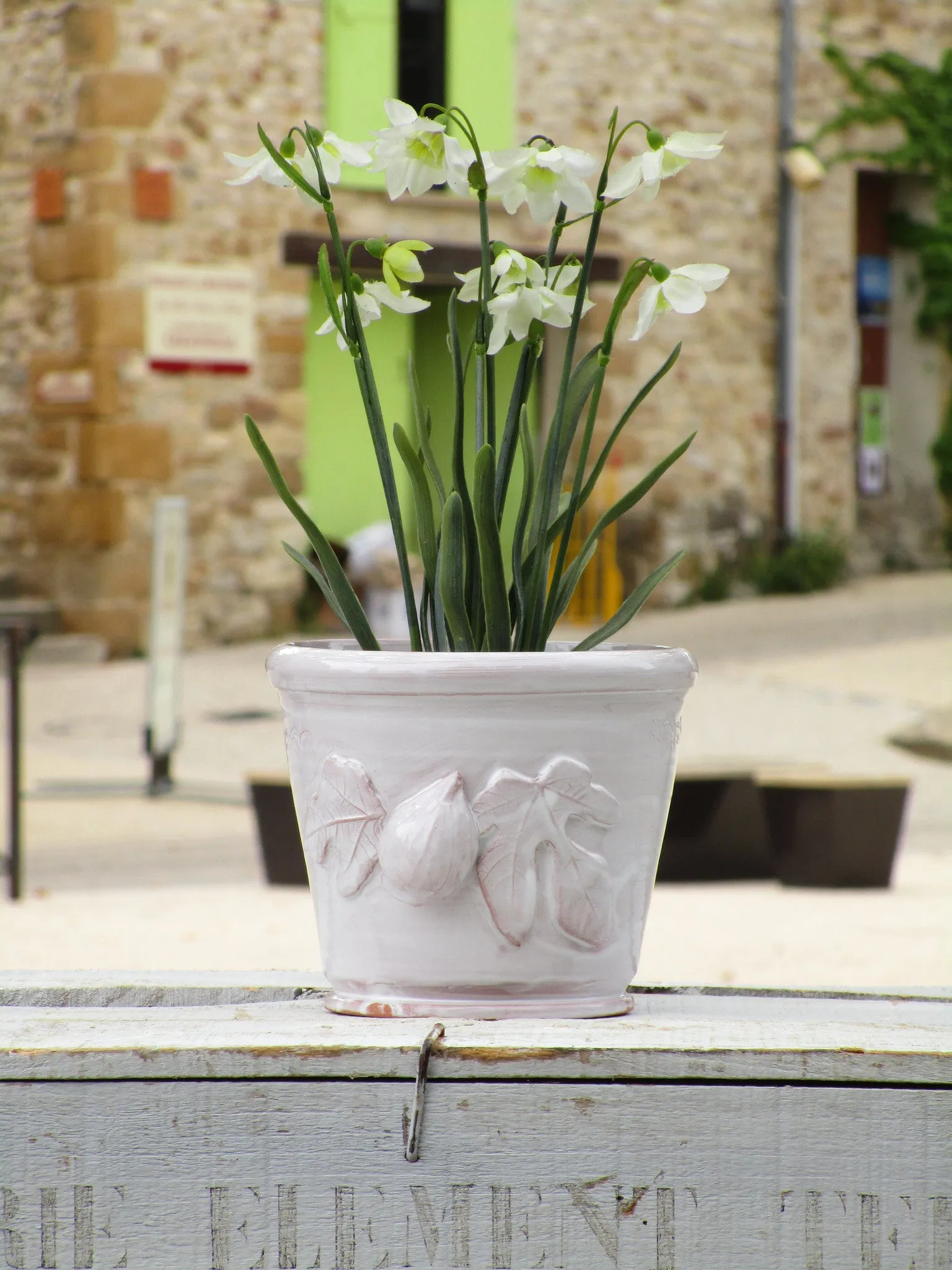 Ceramic glazed pot with figs