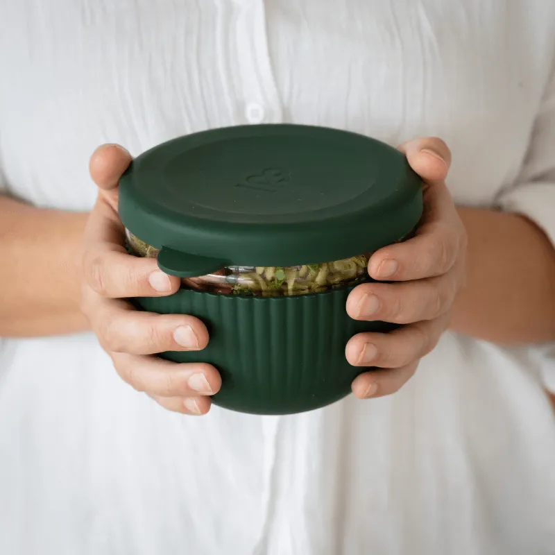 Glass Lunch Bowl Set